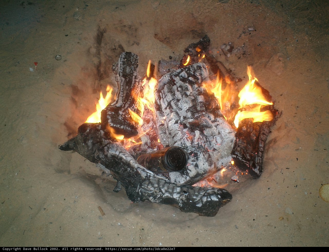 Flaming Bonfire on the Desert Sands