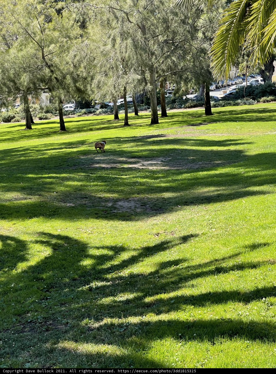 Natural Oasis at Jefferson Square