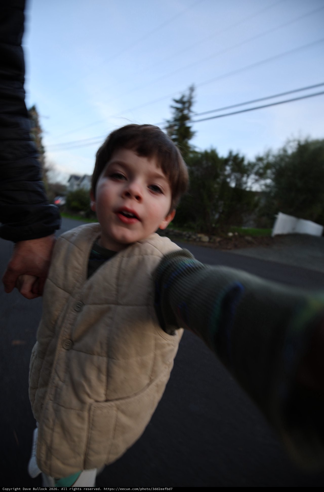 Young Boy on Evening Walk in Suburban Neighborhood