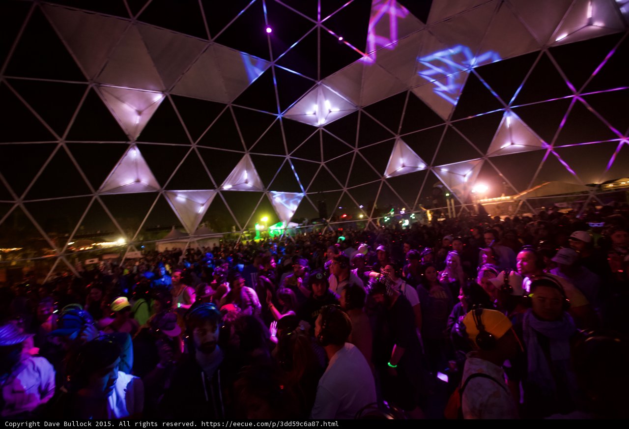 Purple Projections Crowd