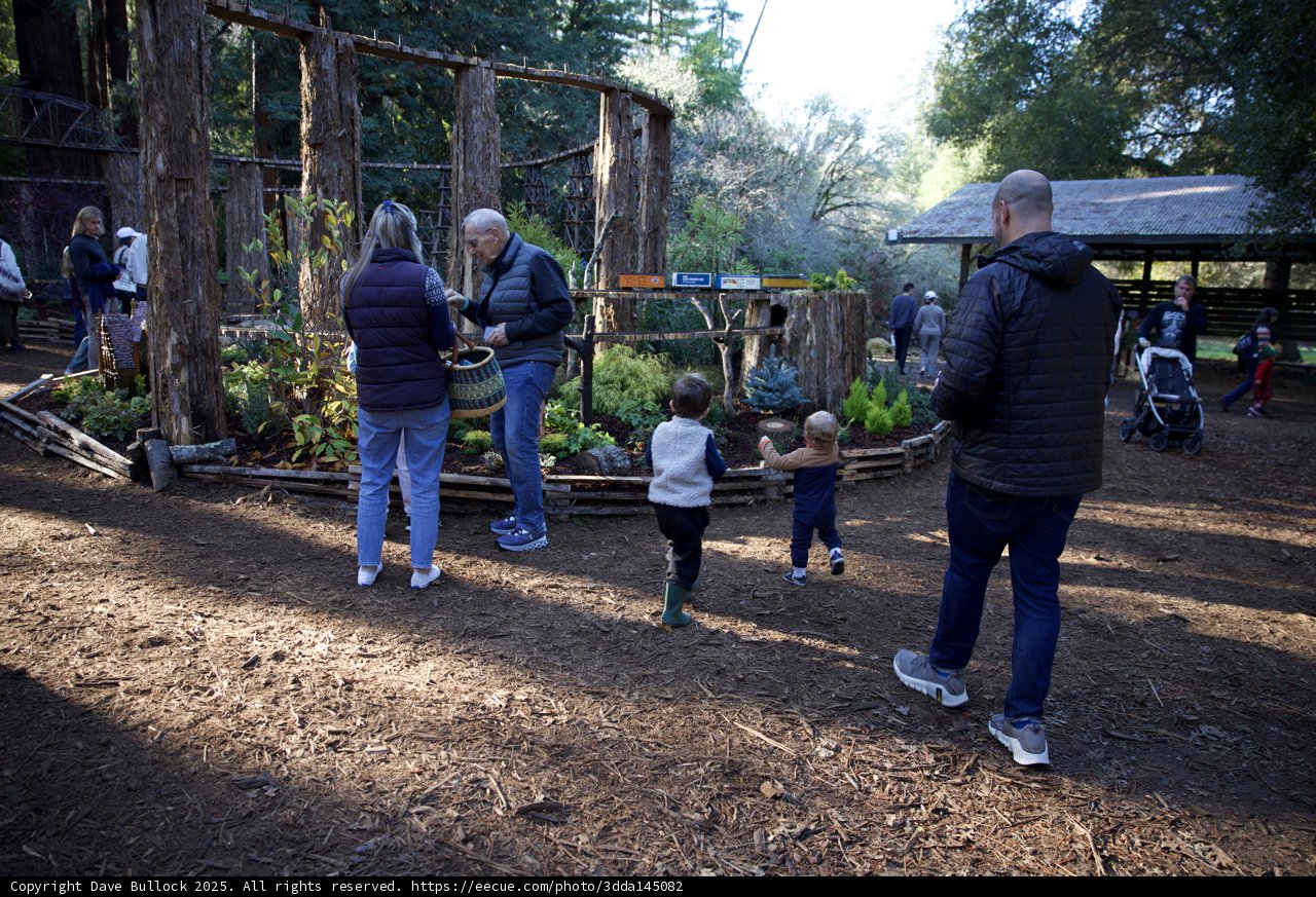 Nature's Playground at Thistlewyck
