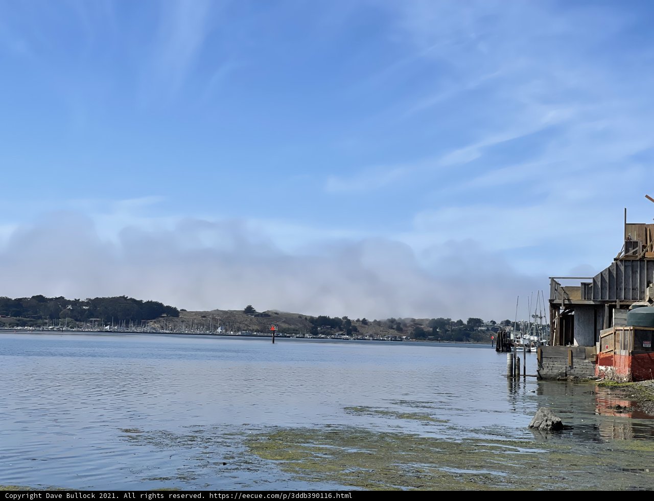 Serene Waterside Hut