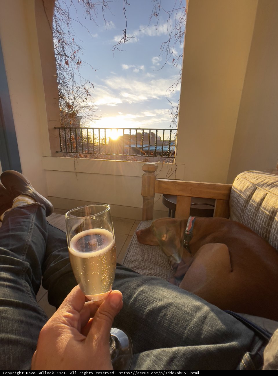 Relaxing on the Couch with a Glass of Wine