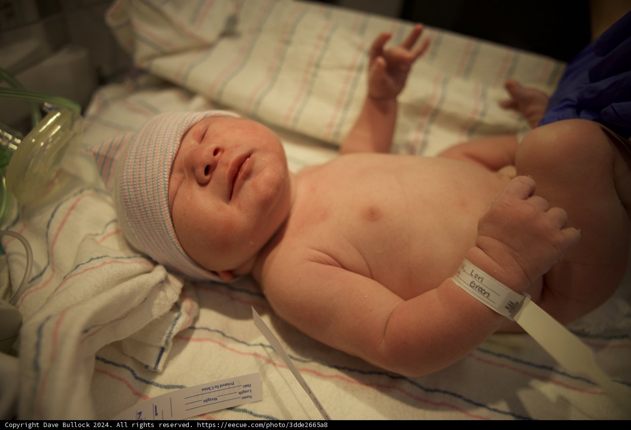 Leland's First Moments