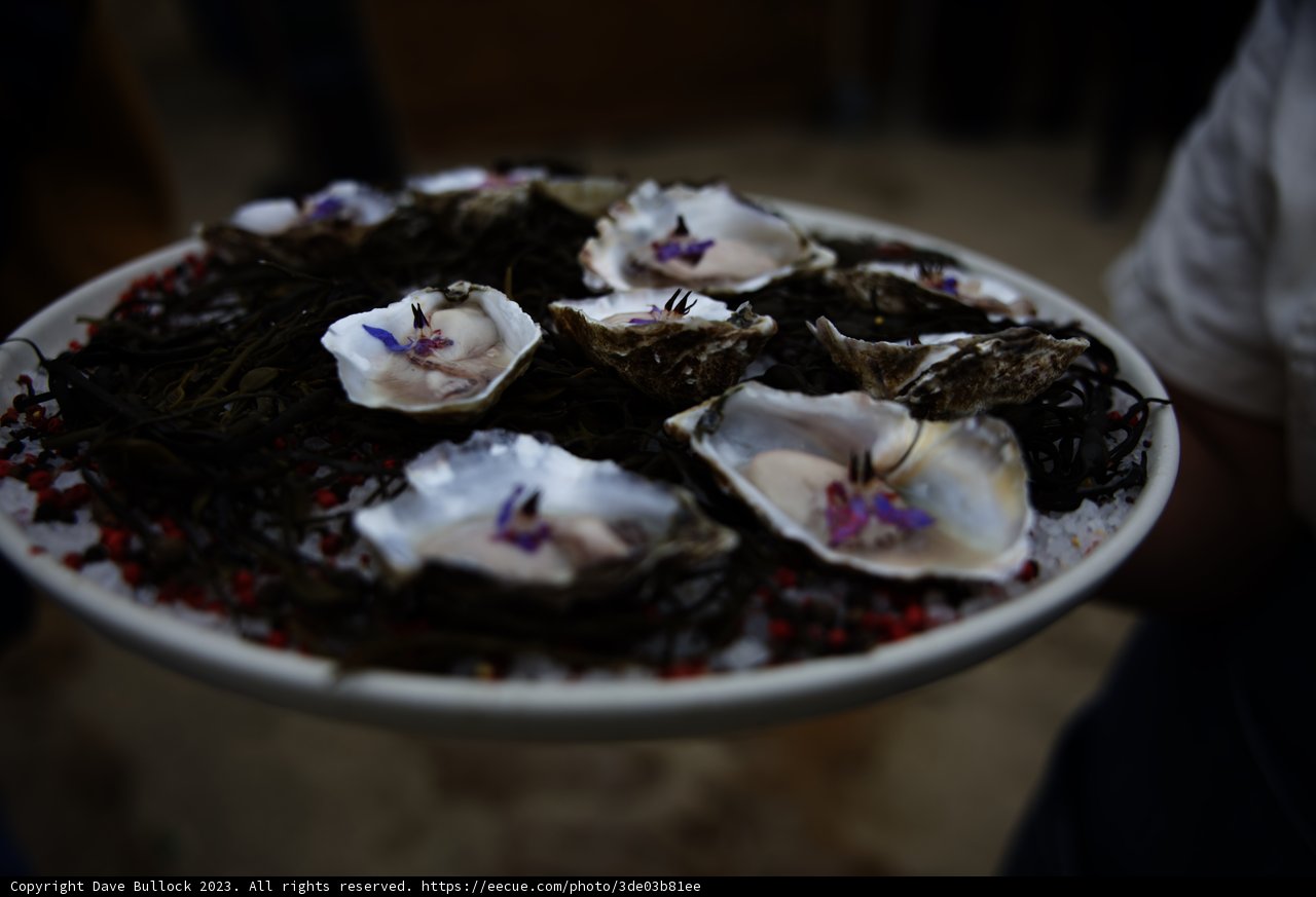 Delightful Oysters in Pescadero