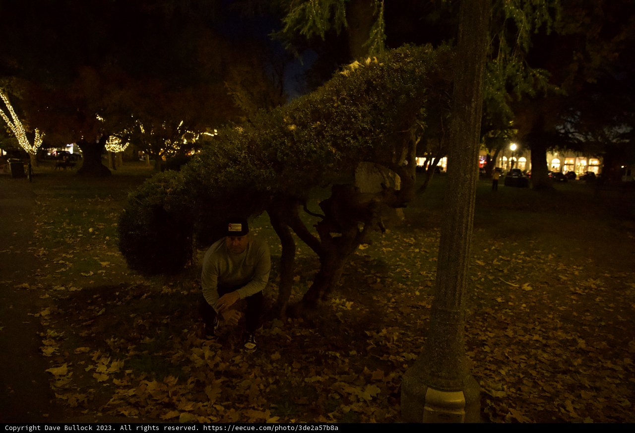 Nightly Respite in Downtown Sonoma Park
