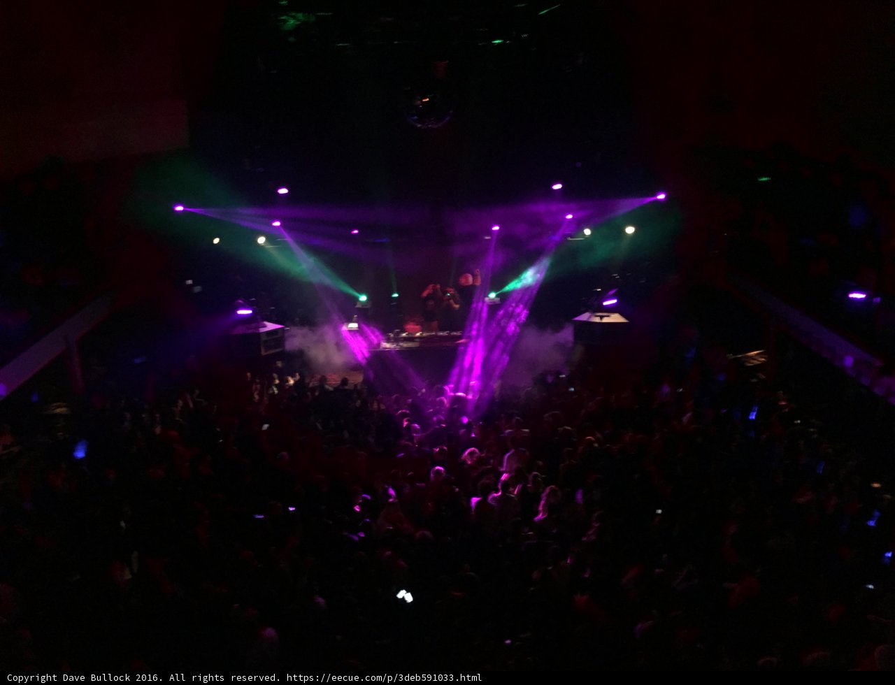 Purple and Green Spotlight on the Crowd