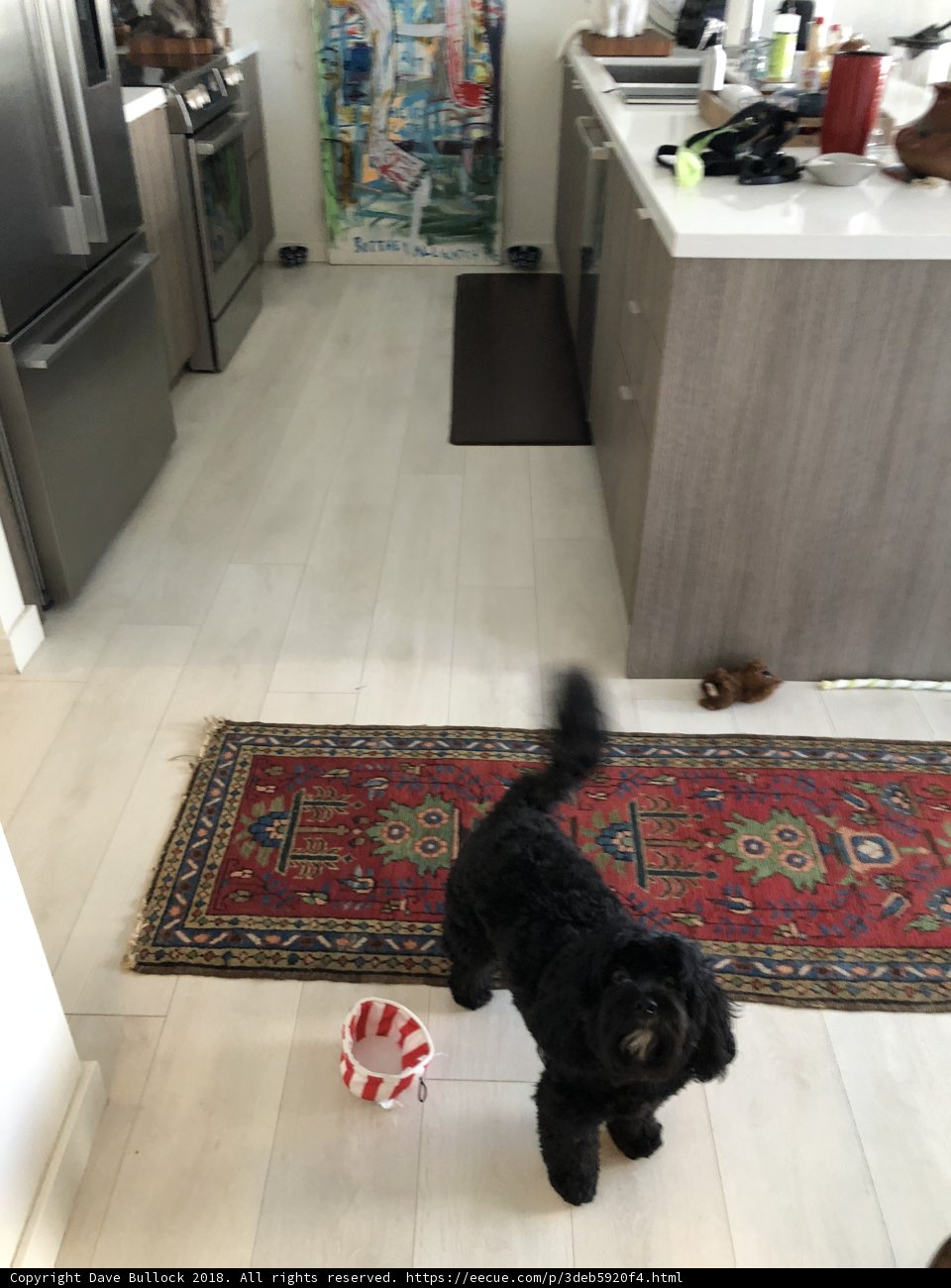 Kitchen Companion