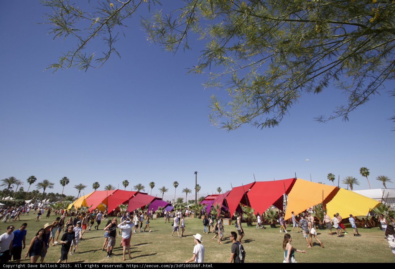 Summer Fun at Coachella