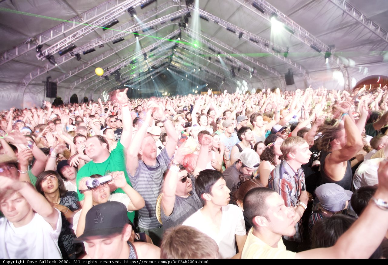 Coachella Crowd Goes Wild