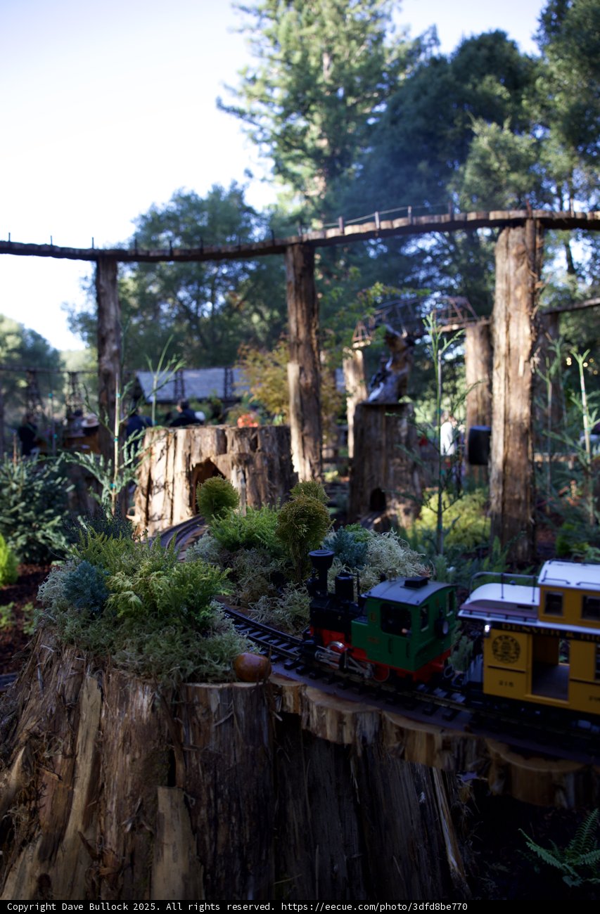 Journey Through the Enchanted Garden