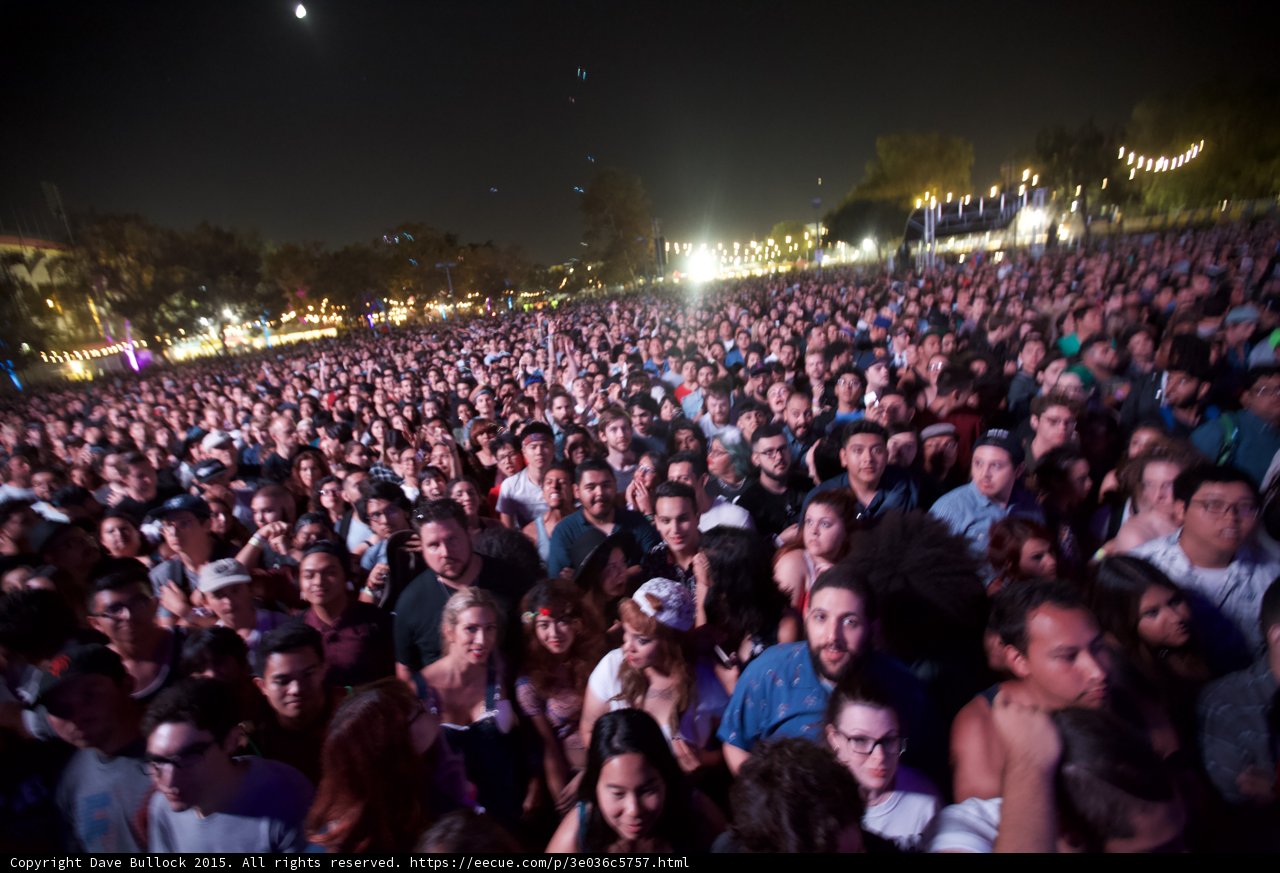 Diverse Festival Crowd