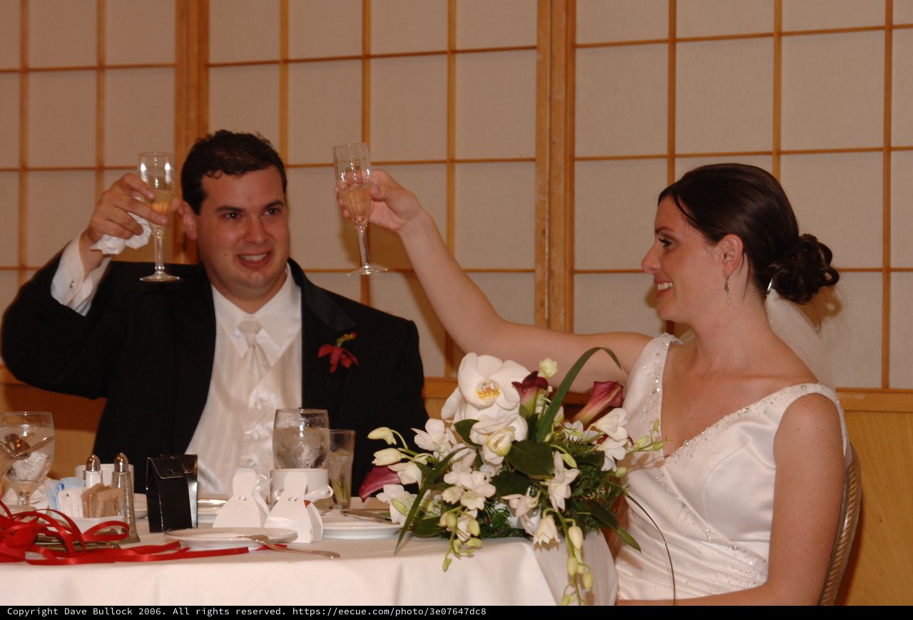 Newlyweds Toast at Wedding Reception Table