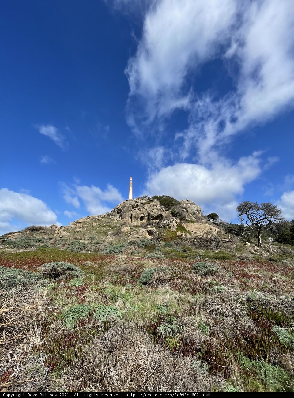 Towering Over a Vast Grassland