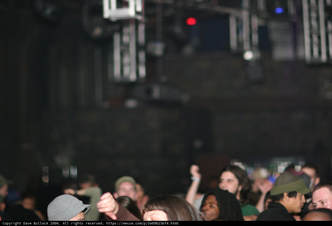Urban Nightlife Concert Crowd