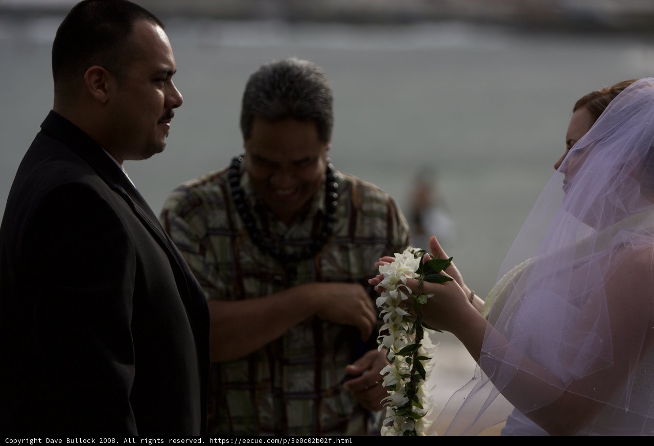 A Seaside Wedding to Remember