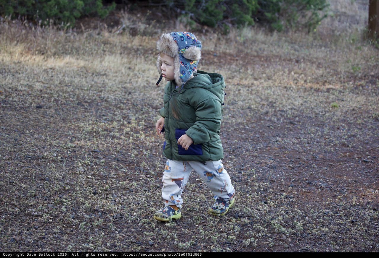 Little Explorer Trekking Through Mt. Diablo Wilderness