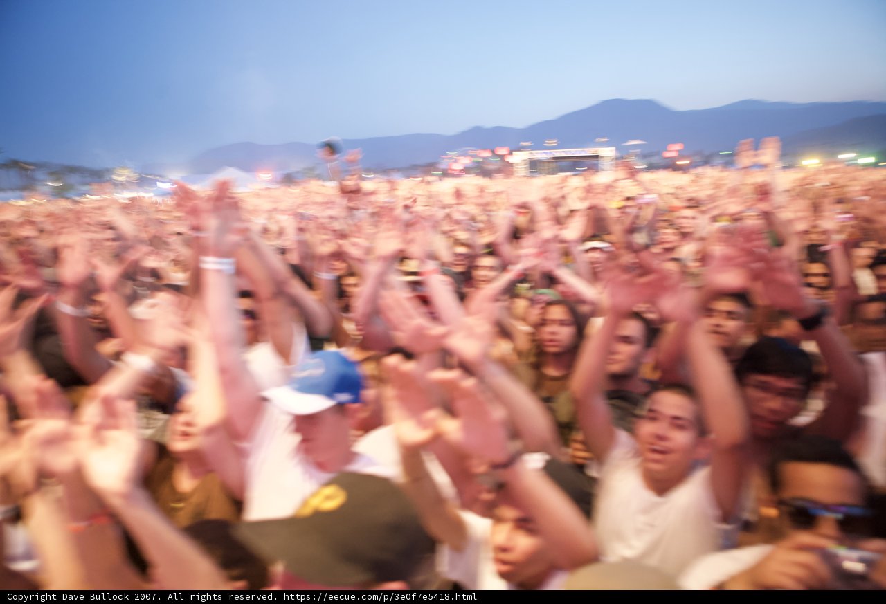 Coachella Concertgoers Celebrating the Music
