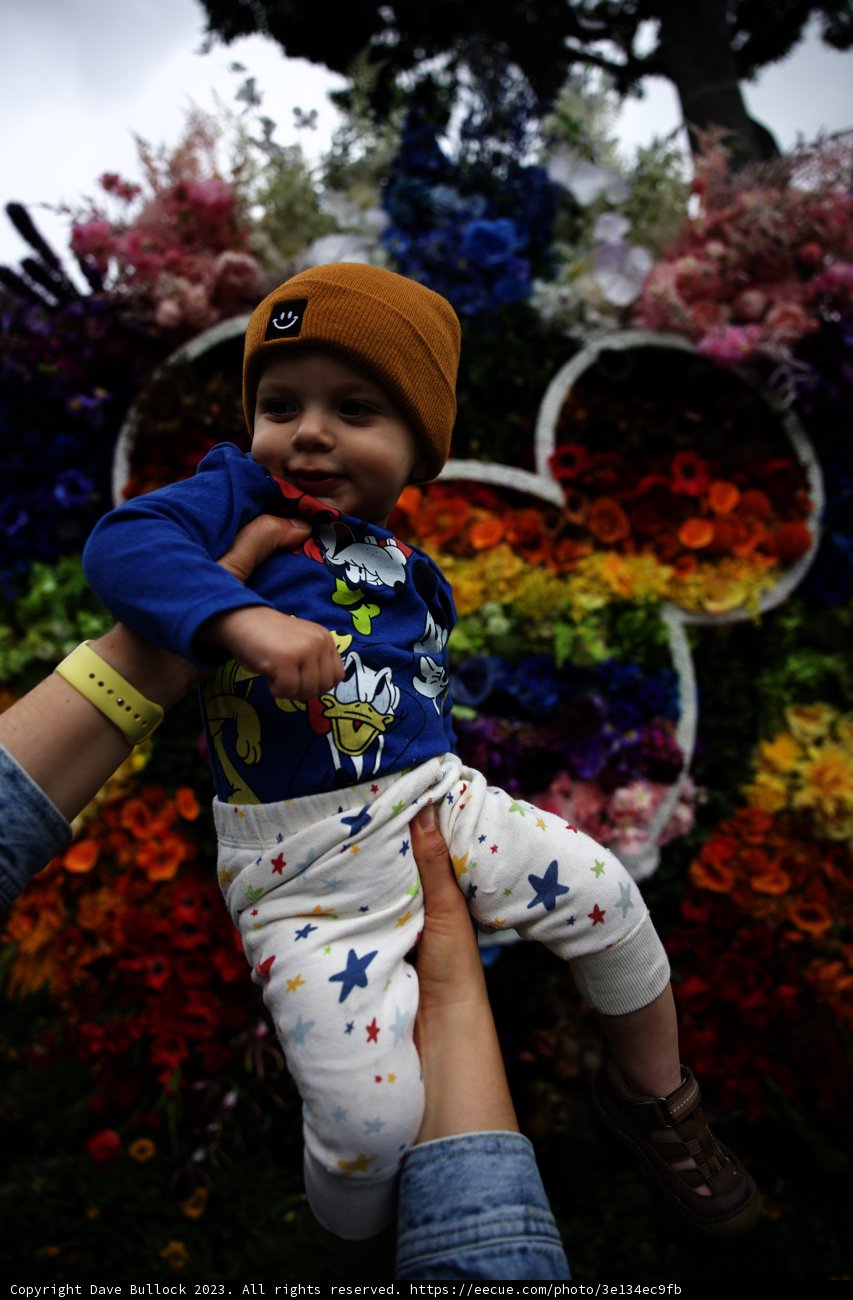 Blooming Memories at Disneyland