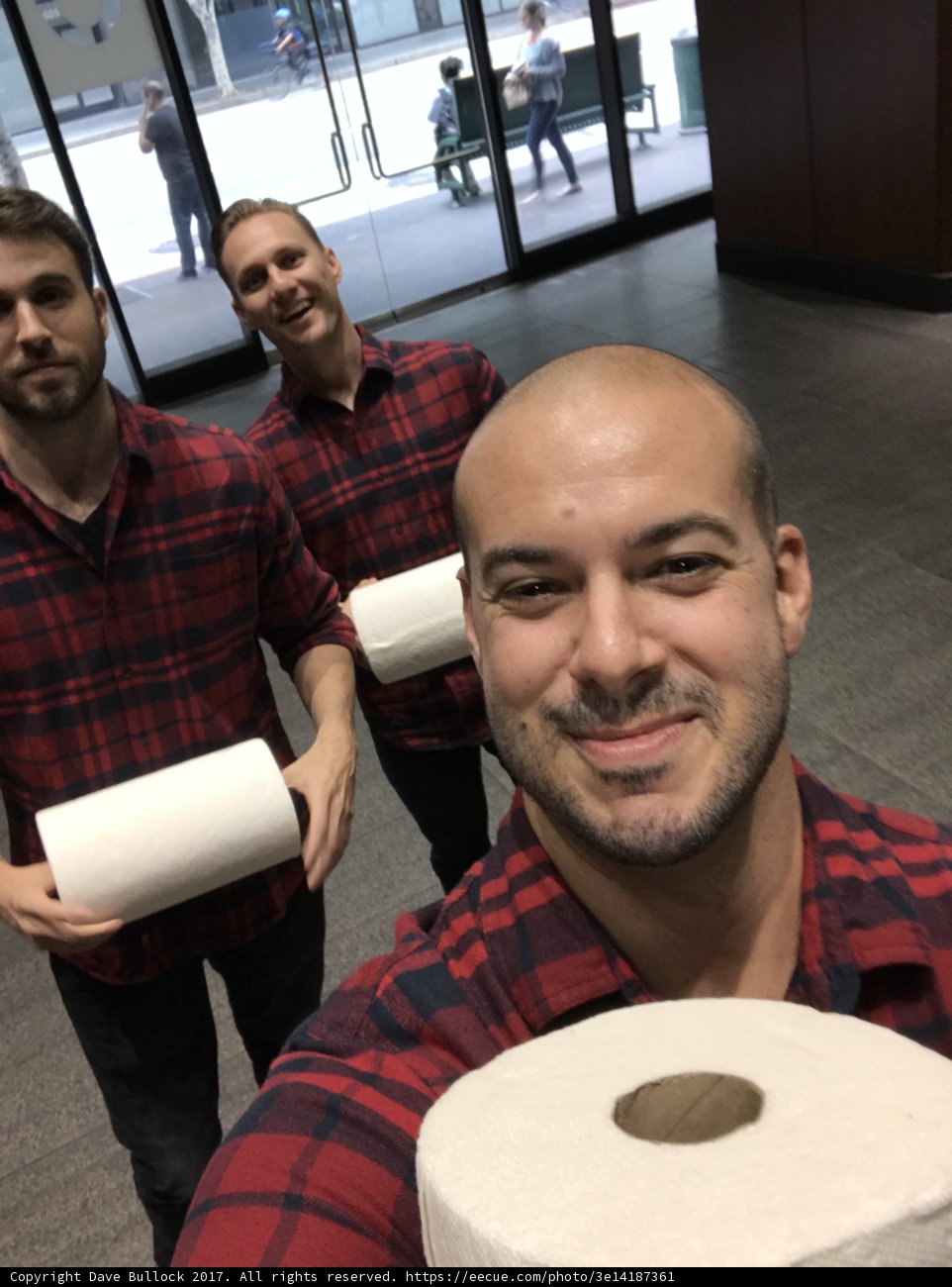 Toilet Paper Trio
