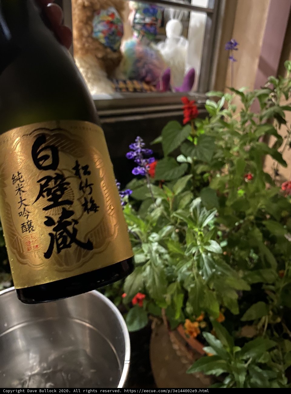 Sipping Sake Among the Foliage