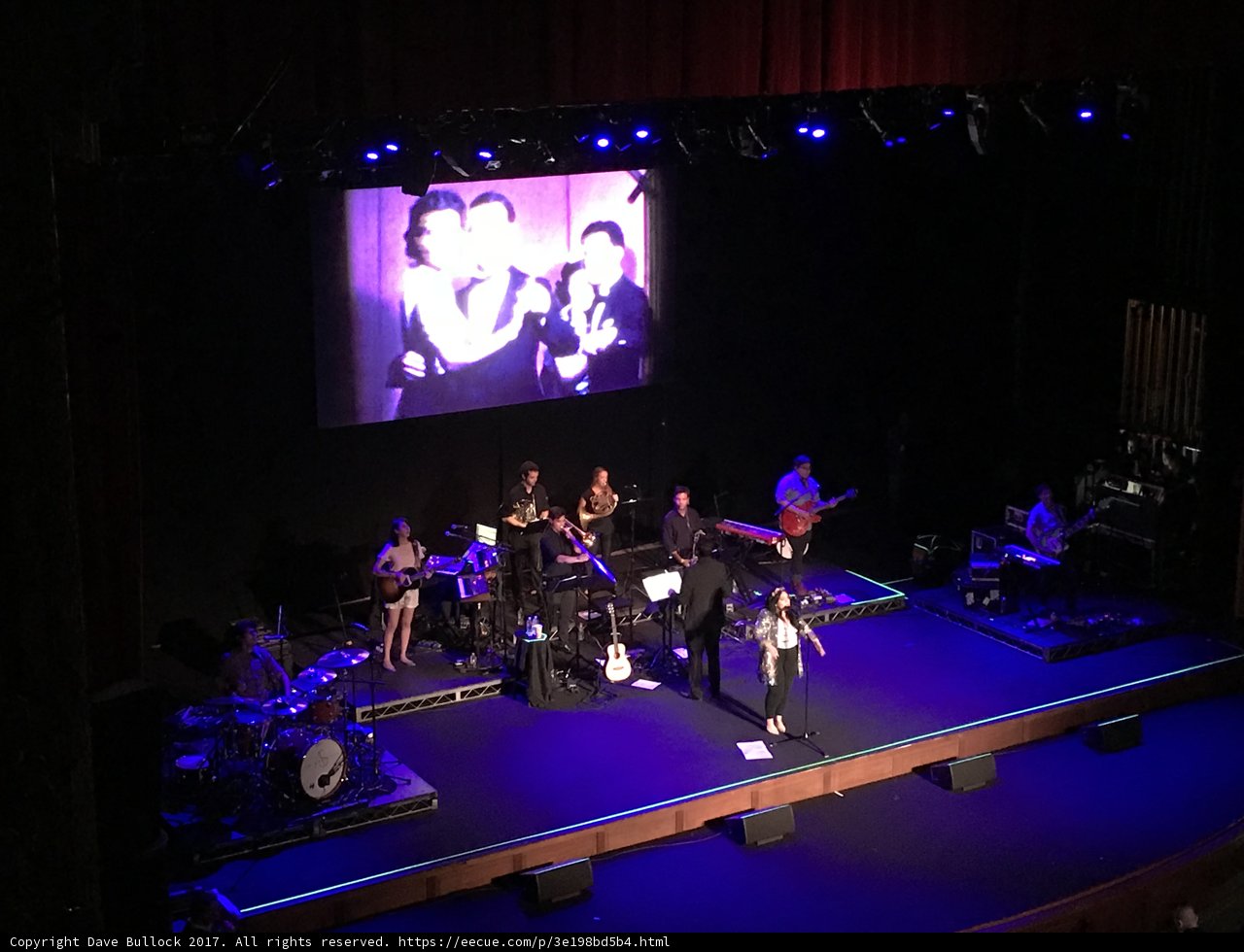 Musical Ensemble: Guitarist on Stage