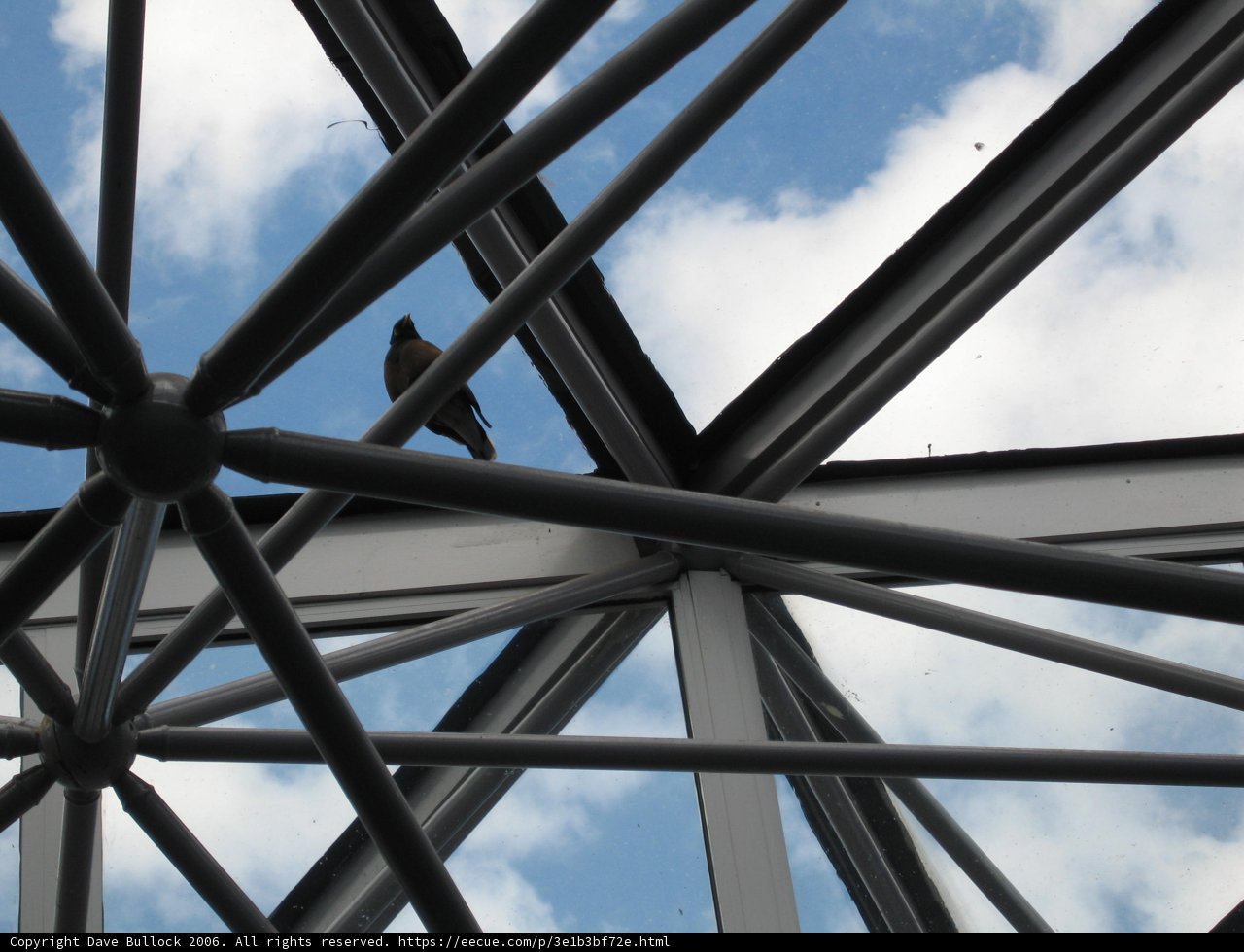 Perched on Architecture