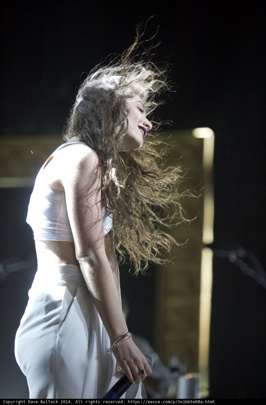 The Singing Sensation