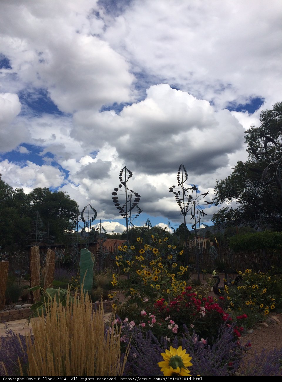 Under The Shady Cumulus Sky