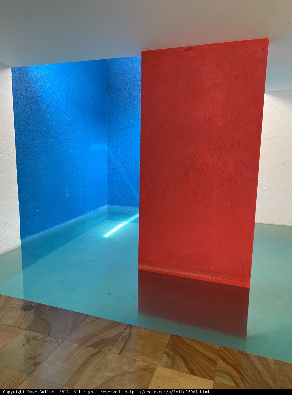 Colorful Reflections