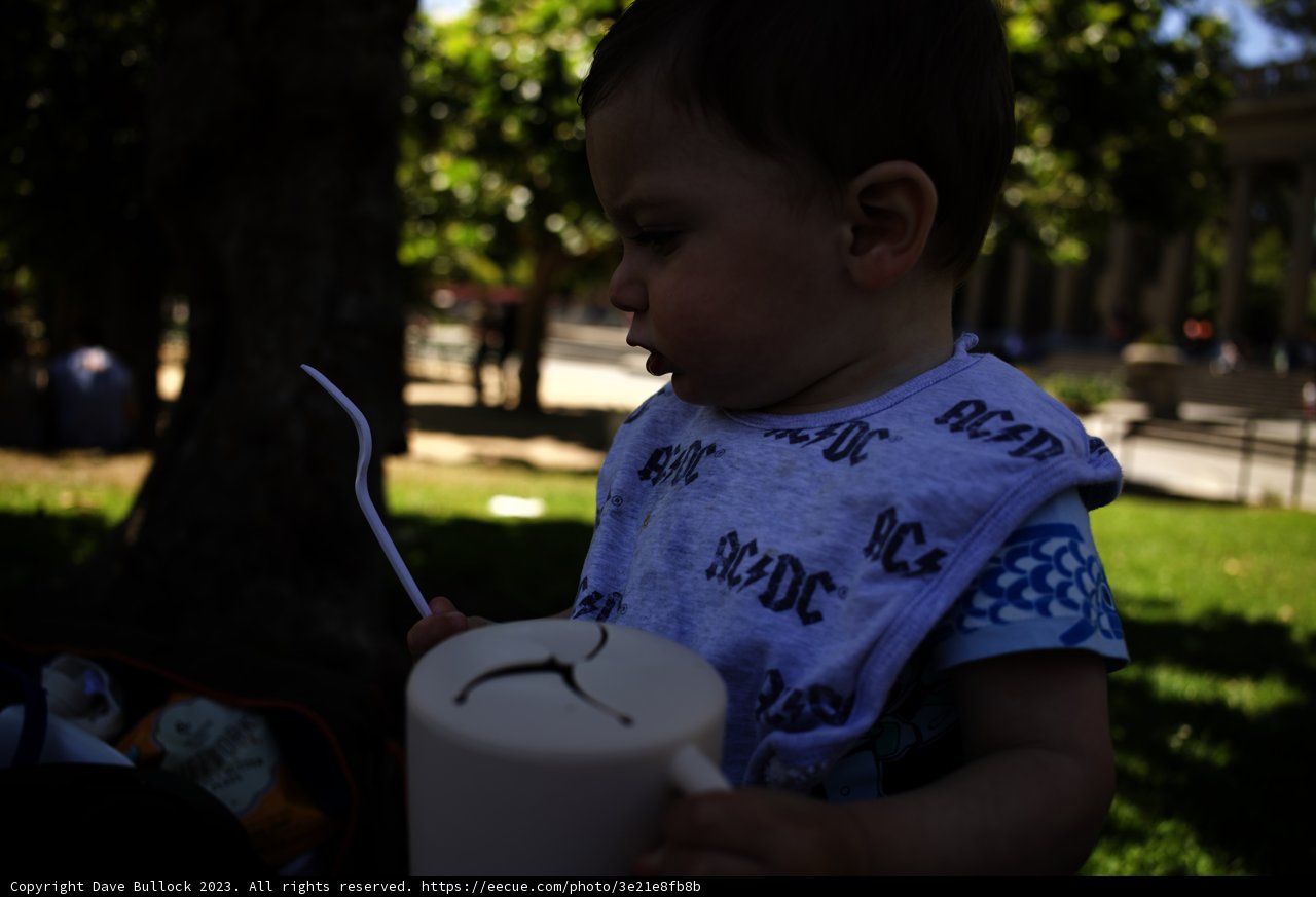 A Sweet Moment in the Park