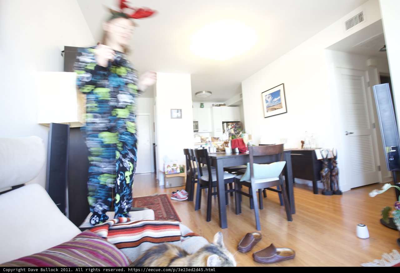 Cozy Christmas Morning in the Living Room