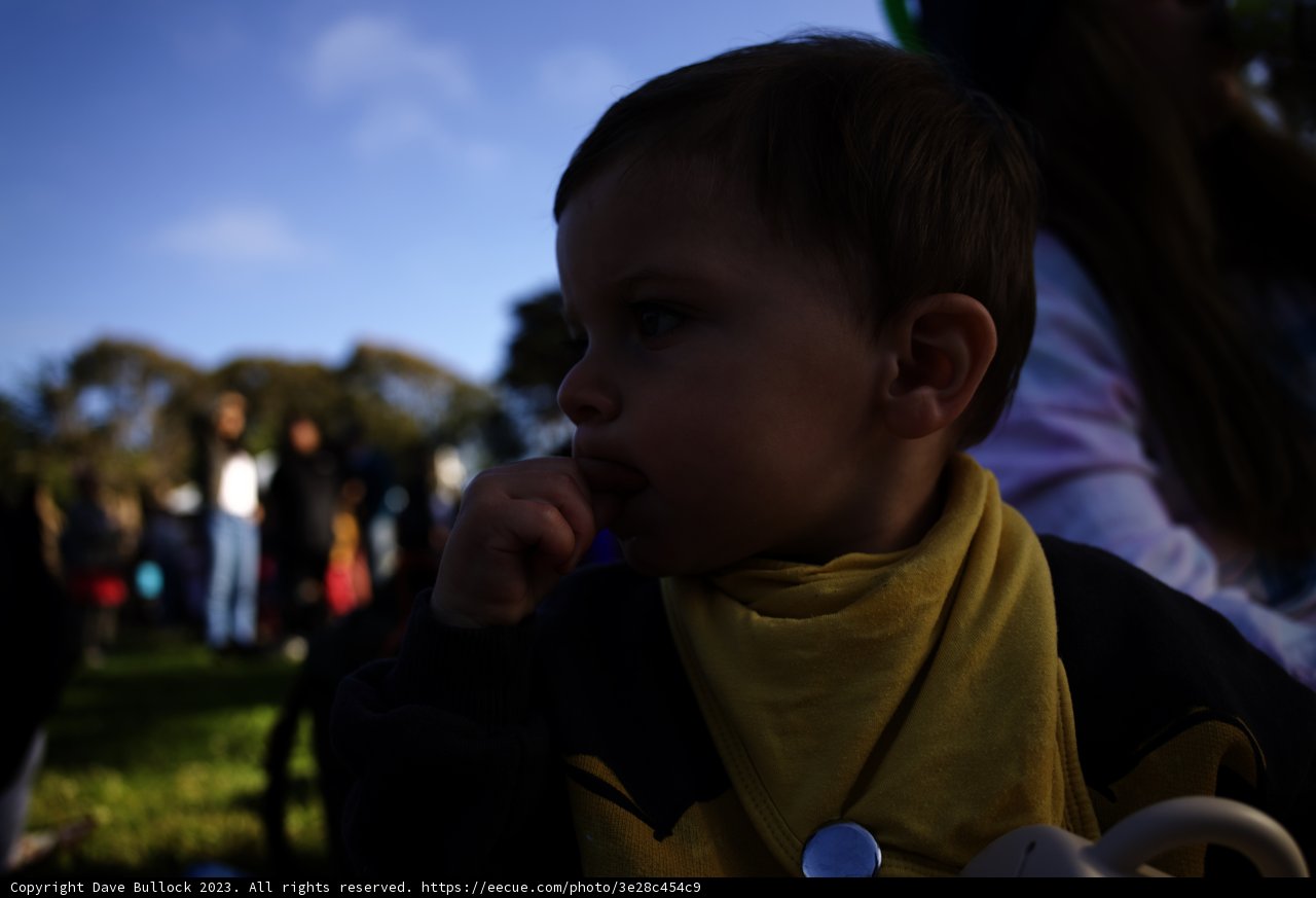 Endearing Moments at SF Zoo Sunset Fridays