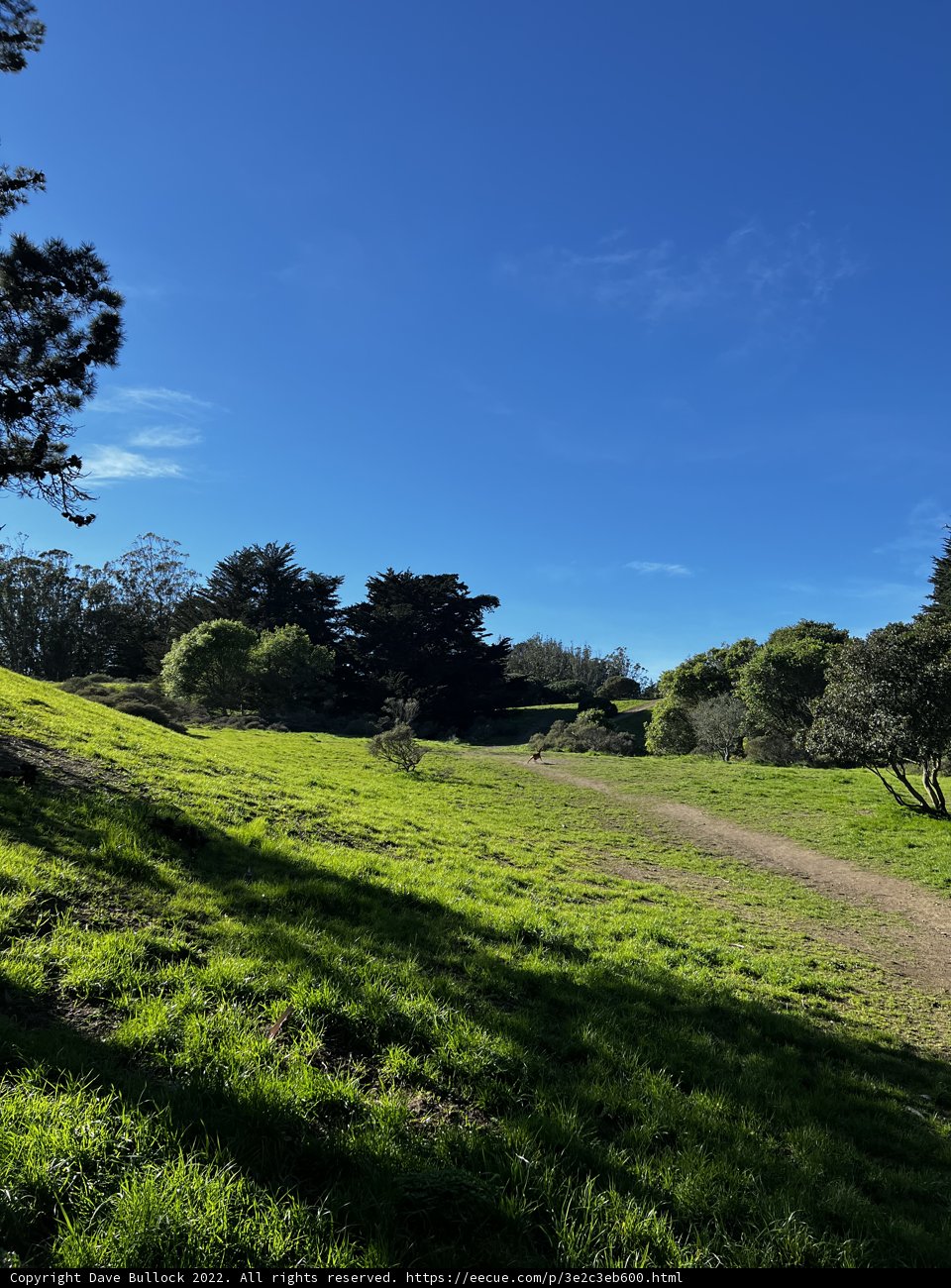 Serene Countryside Pasture