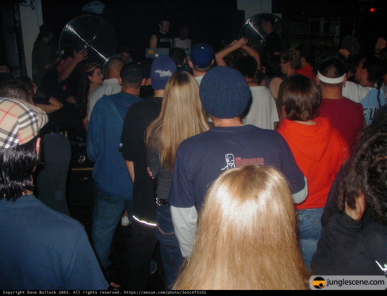 Nightlife Crowd