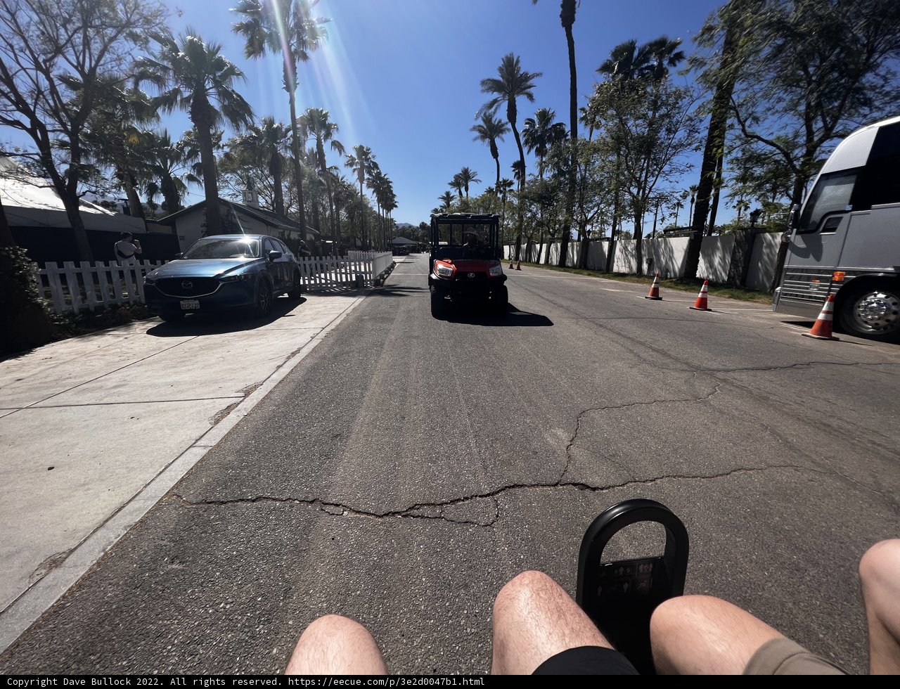 Driving through a Desert Oasis
