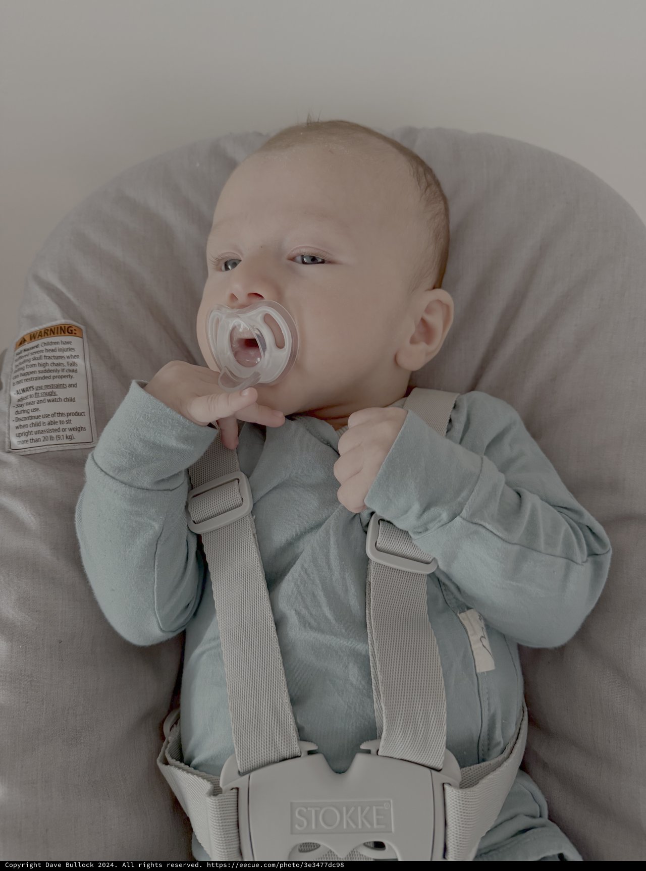 Baby Securely Strapped in Stokke Car Seat