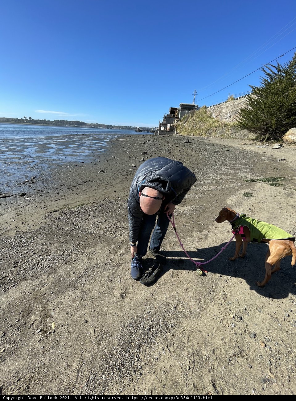 Man and Dog Enjoying a Day at the Beach