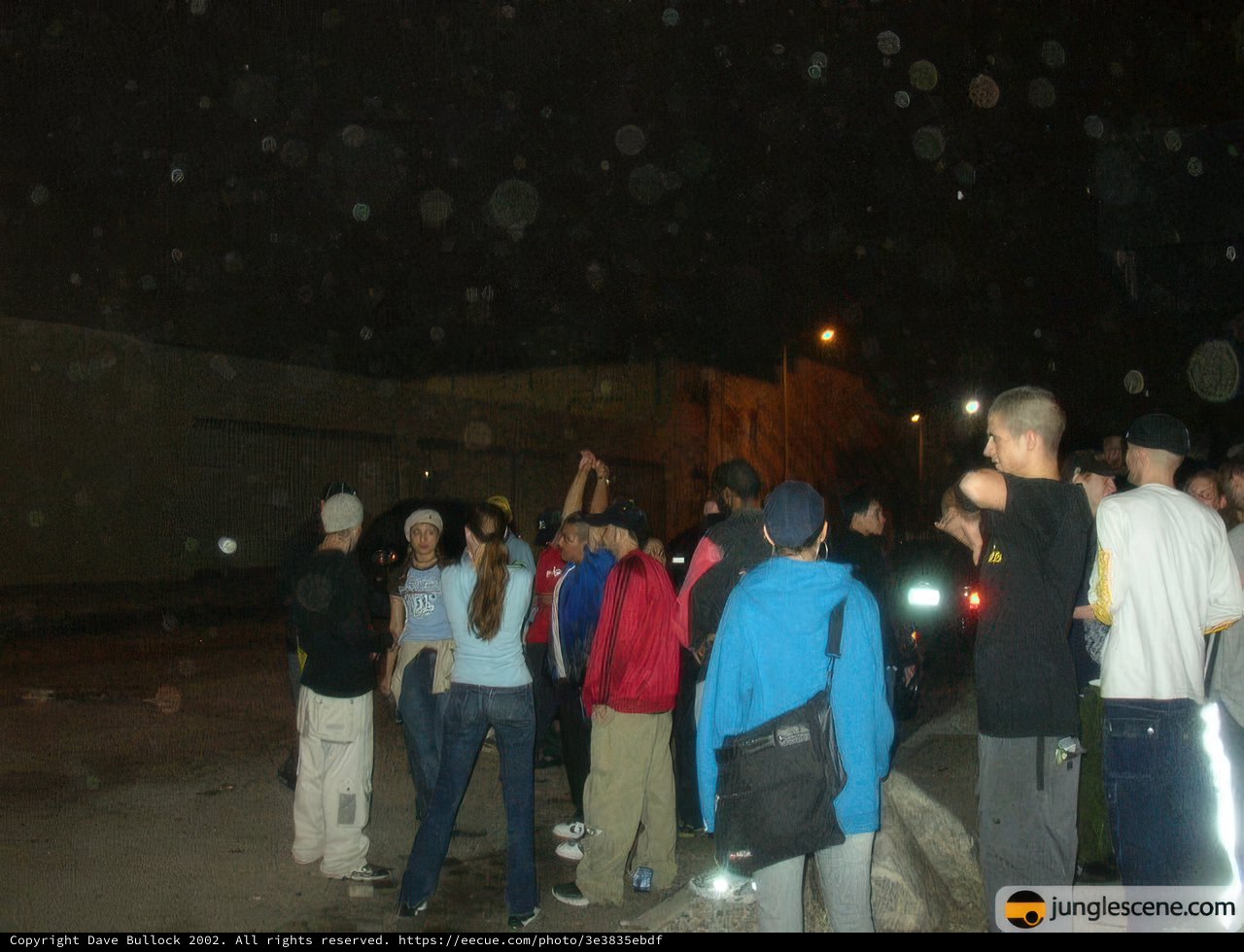 Nighttime Gathering