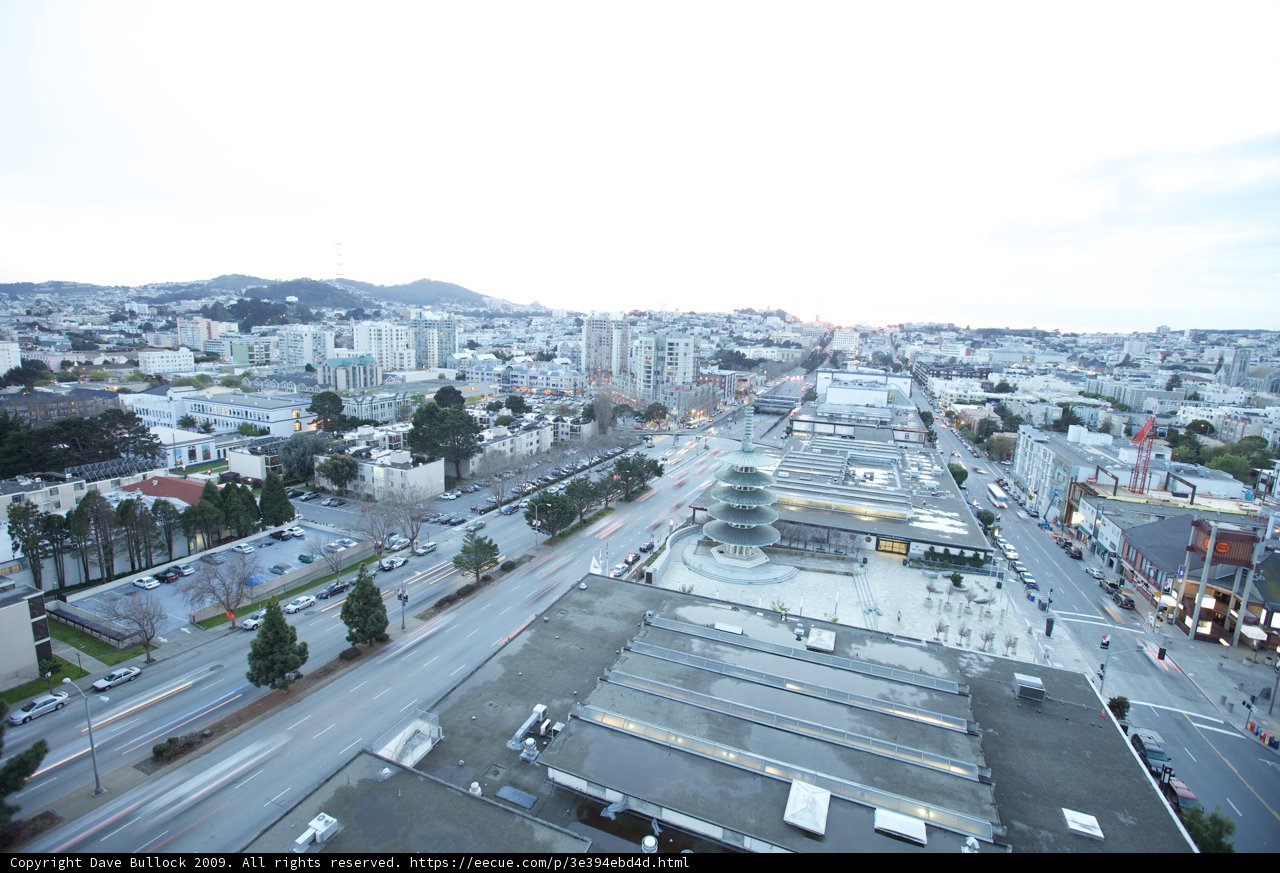 A Bird's Eye View of the Urban Jungle
