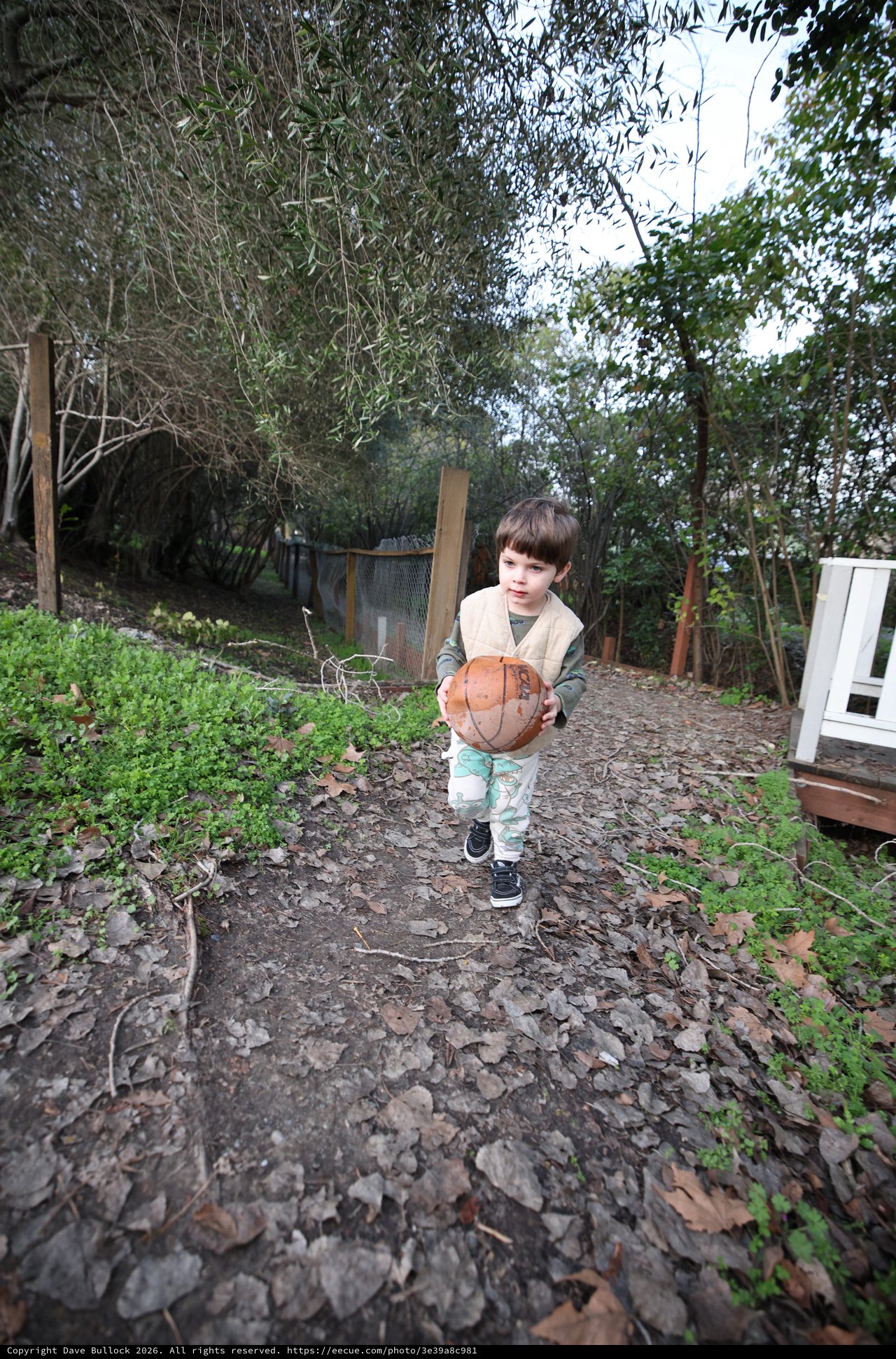 Young Child Carrying Basketball in Backyard Garden