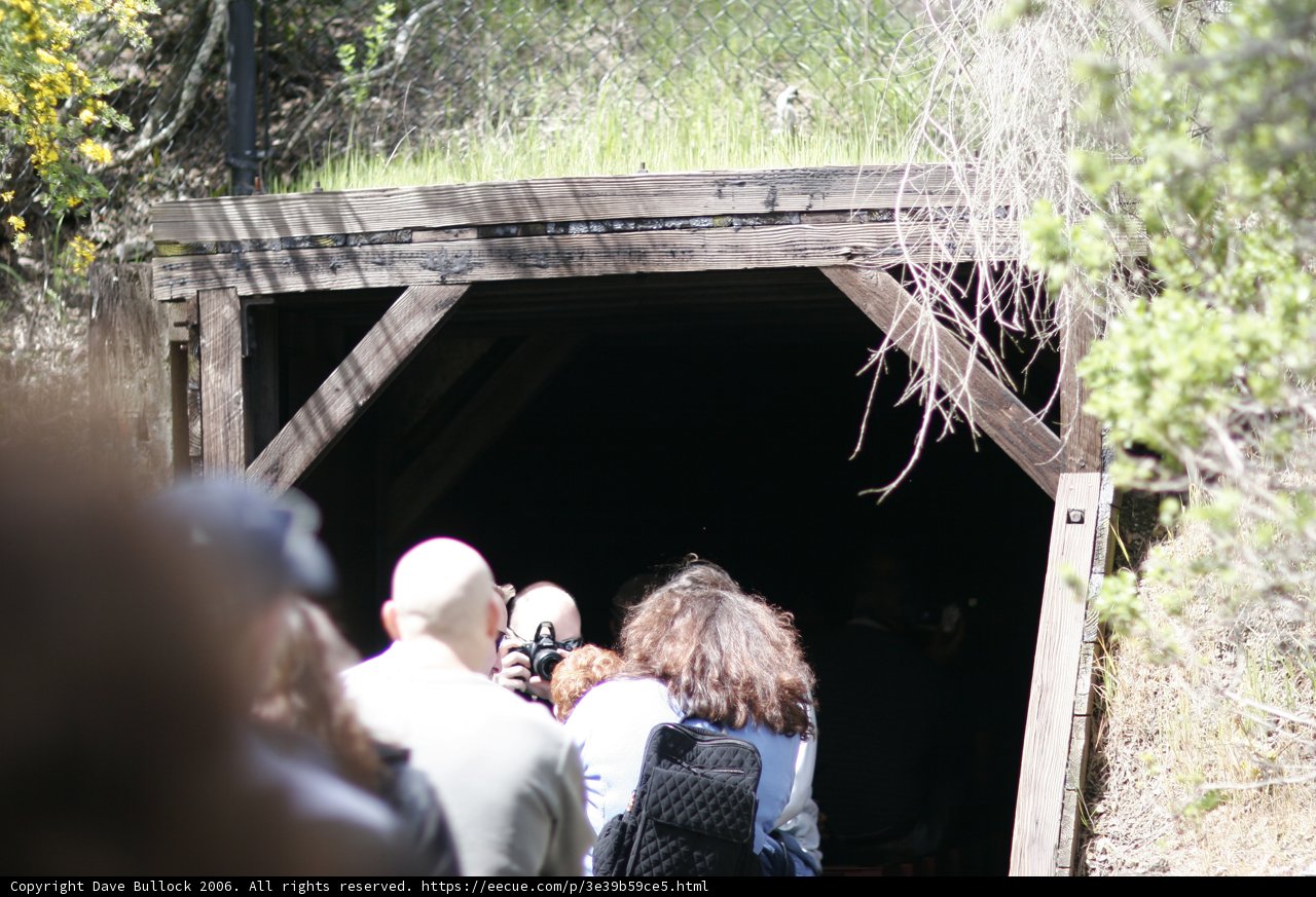 Exploring the Sheltered Tunnel