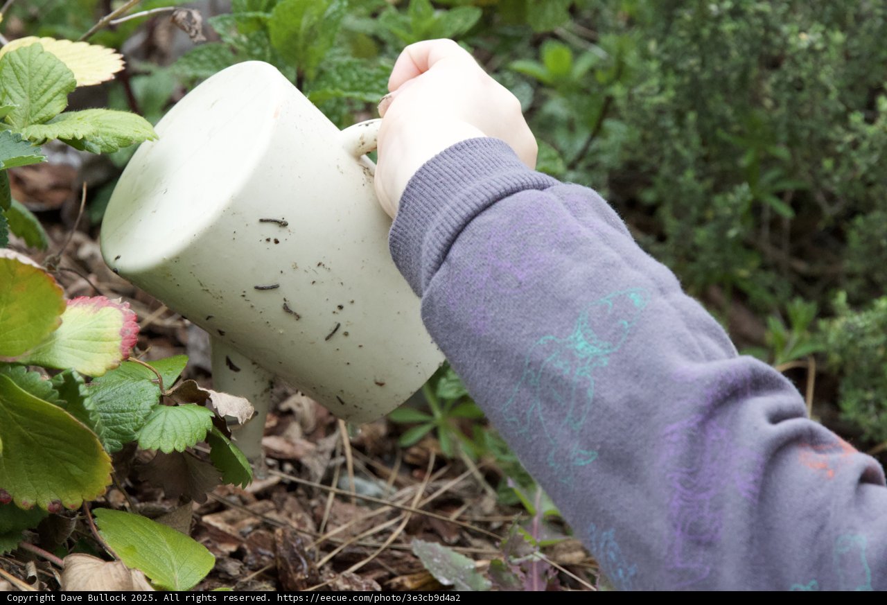 Nurturing Nature