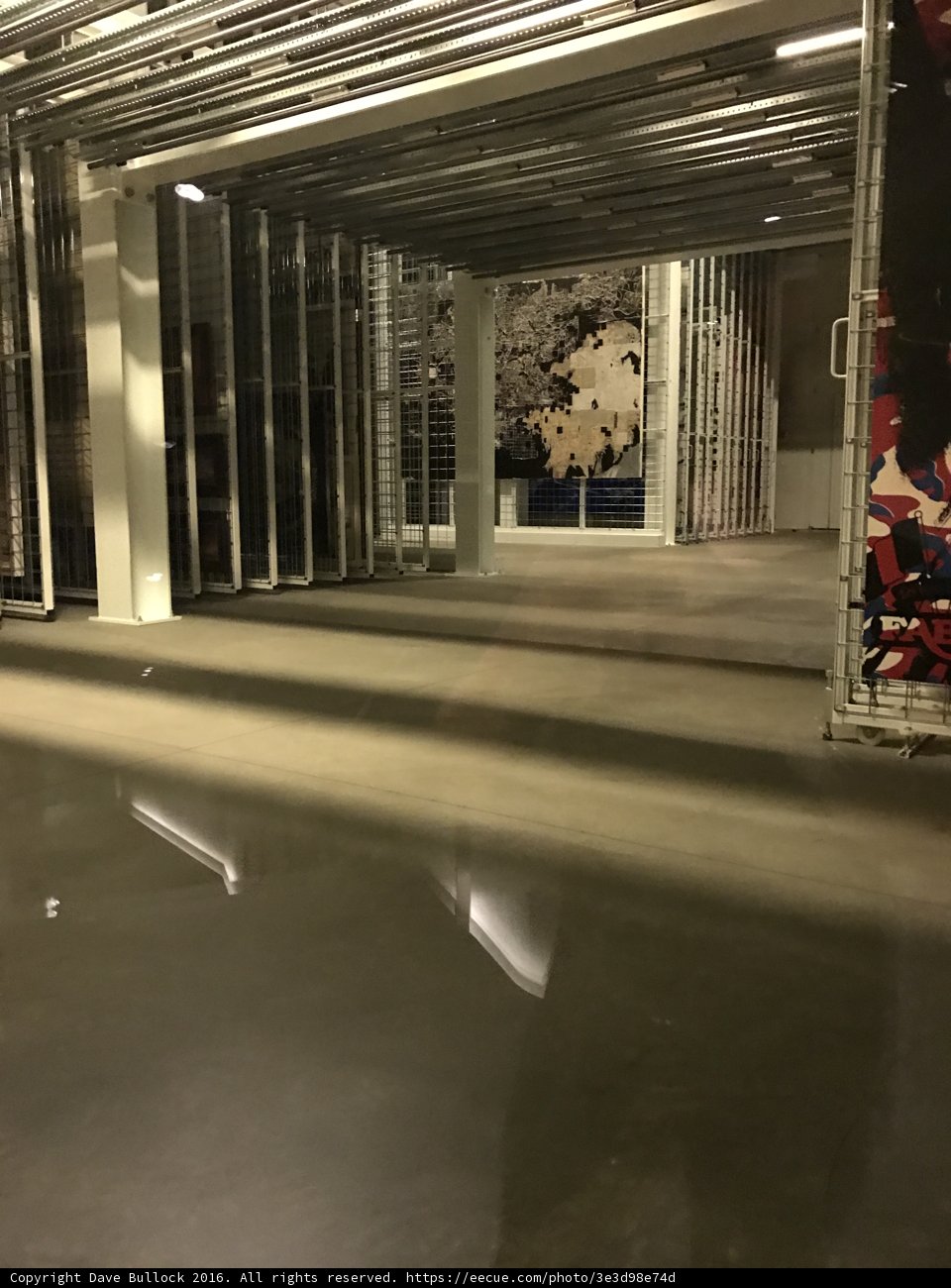 The Cage Corridor