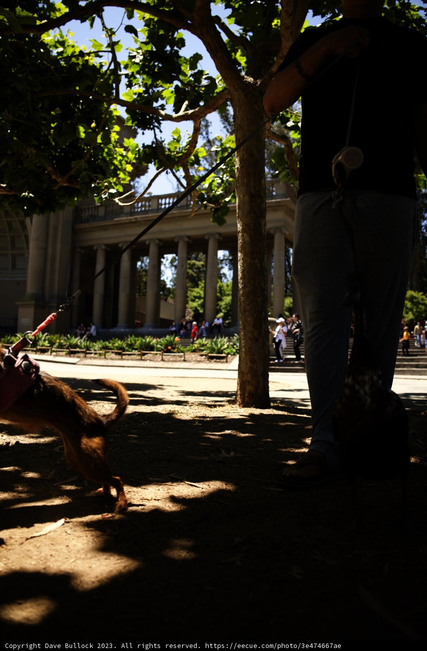 Walk in the Green: Unseen Corners of California