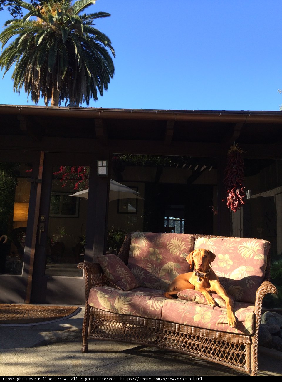 Summer Relaxation on the Porch