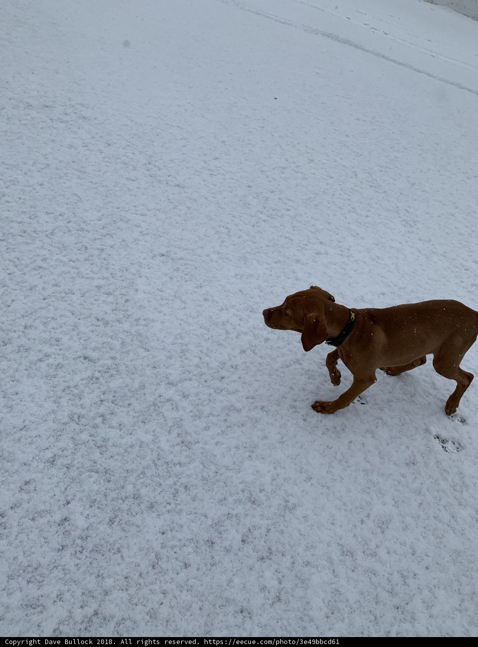 Winter Sprint