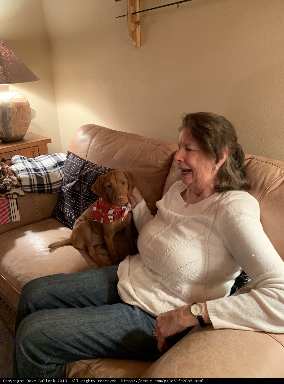 Cozy Holiday Moments on the Couch
