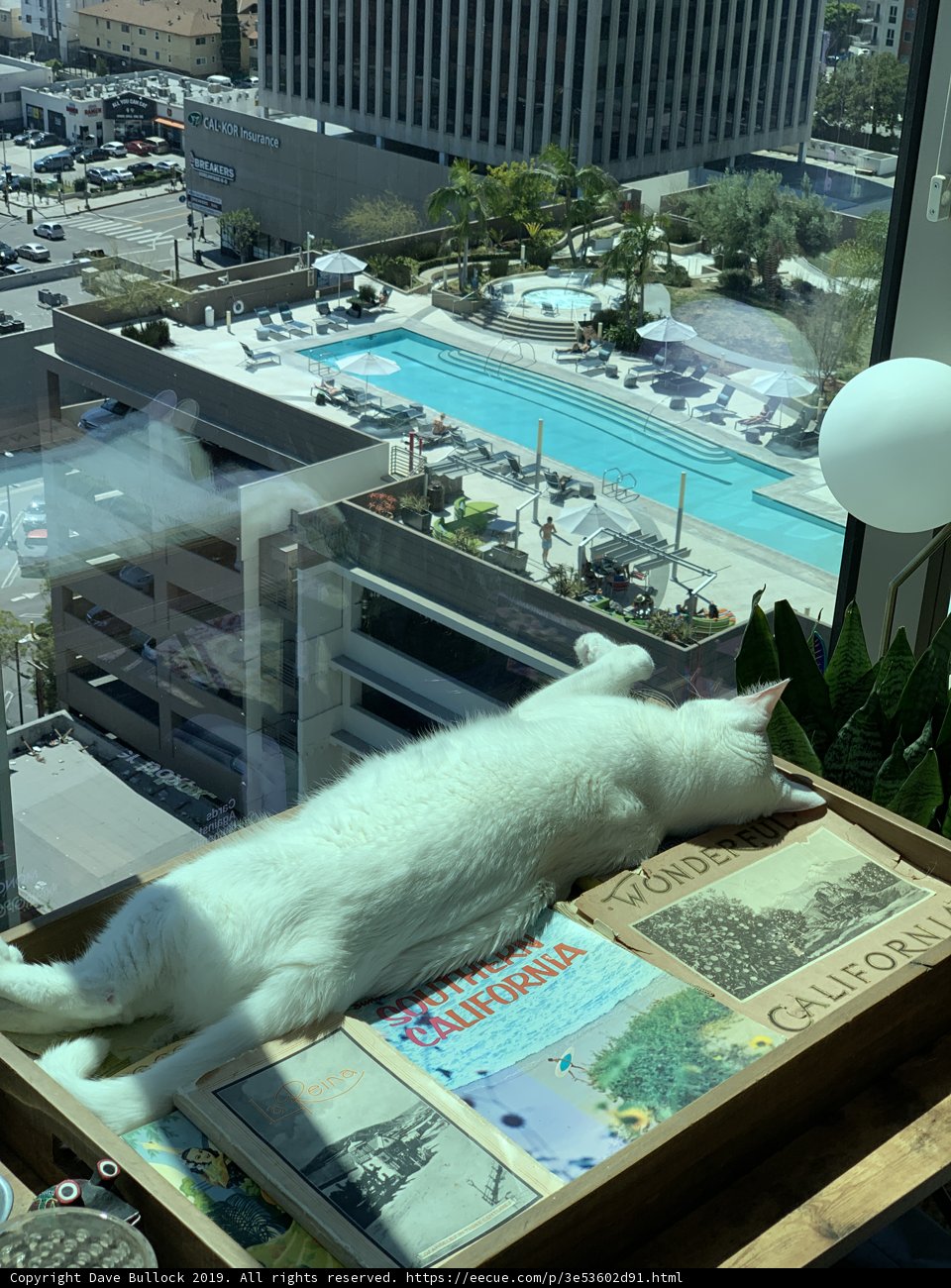 Window Watcher