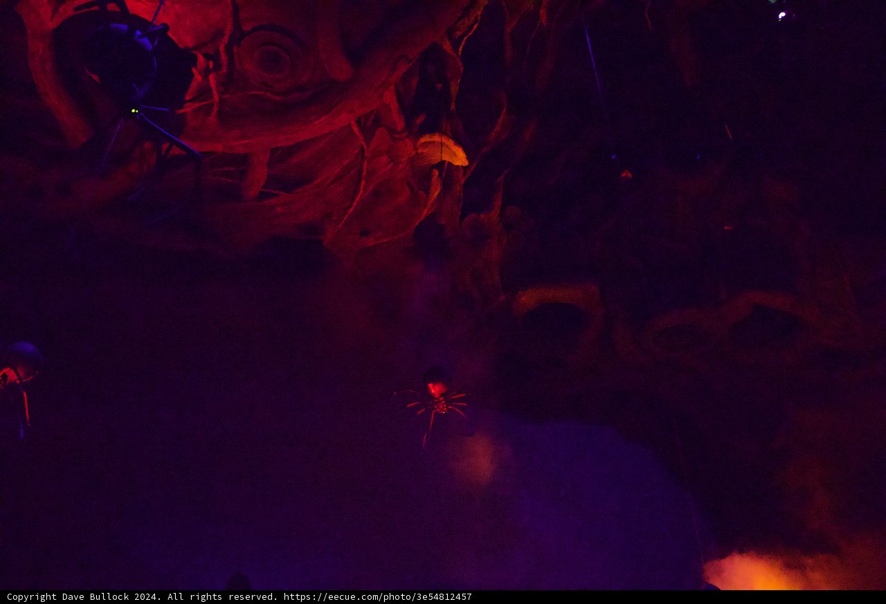 Magical Underwater Encounter at Disneyland Paris